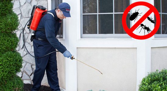 Kaş Karınca İlaçlama böcek ilaçlama ve haşere kontrolü — ilaclama-tr.com